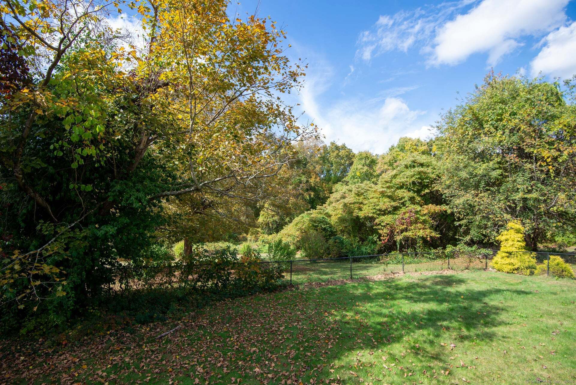 79 Middlesex Avenue Chester, CT 06412 - Photo 21 of 31 a view of a trees with a yard