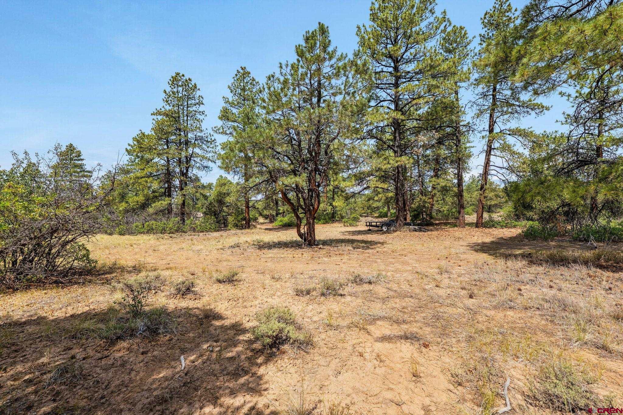 1788 Foxfire Road Bayfield, CO 81122 - Photo 18 of 34 a view of outdoor space with trees