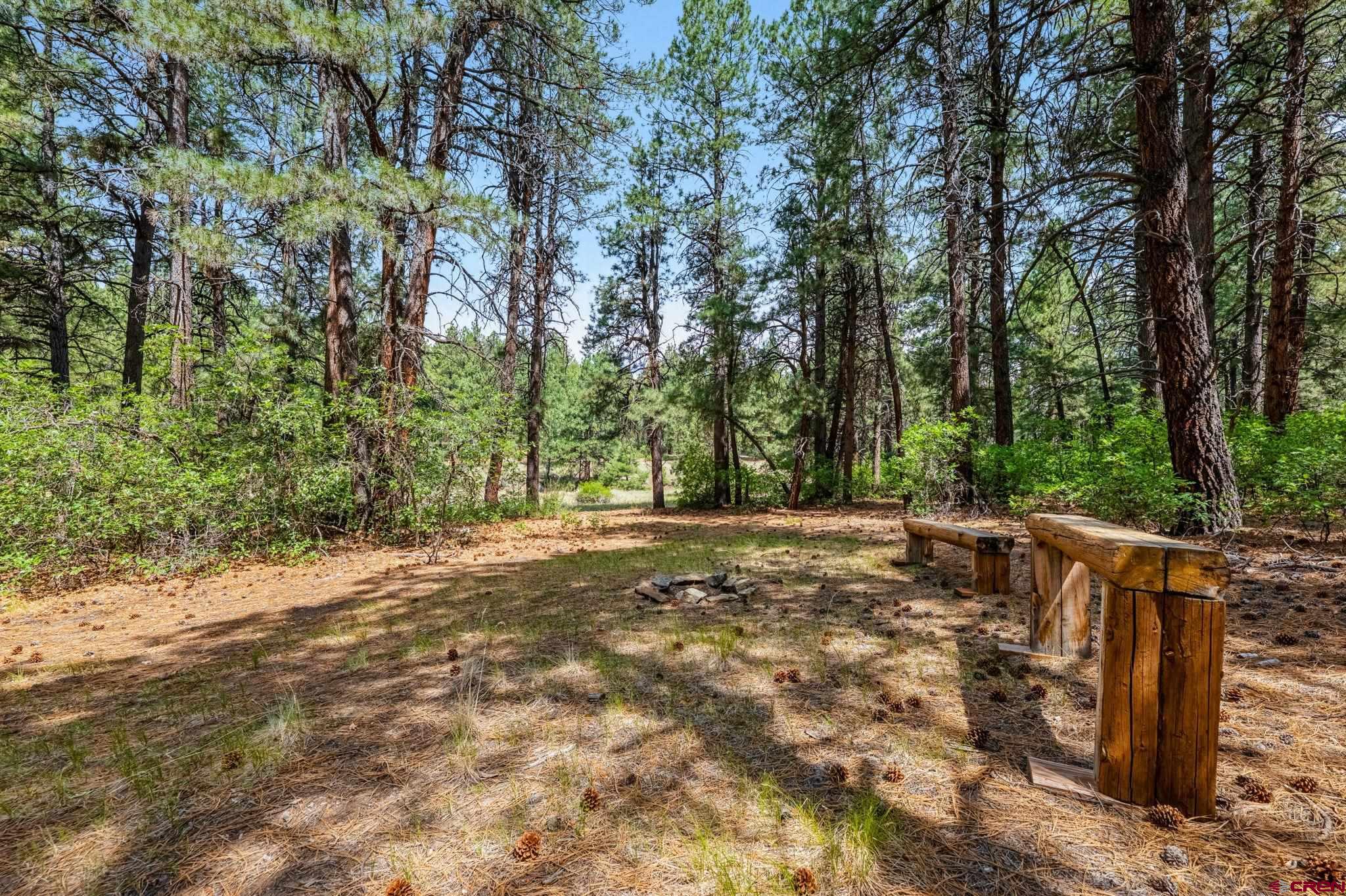 1788 Foxfire Road Bayfield, CO 81122 - Photo 20 of 34 a view of a backyard with trees