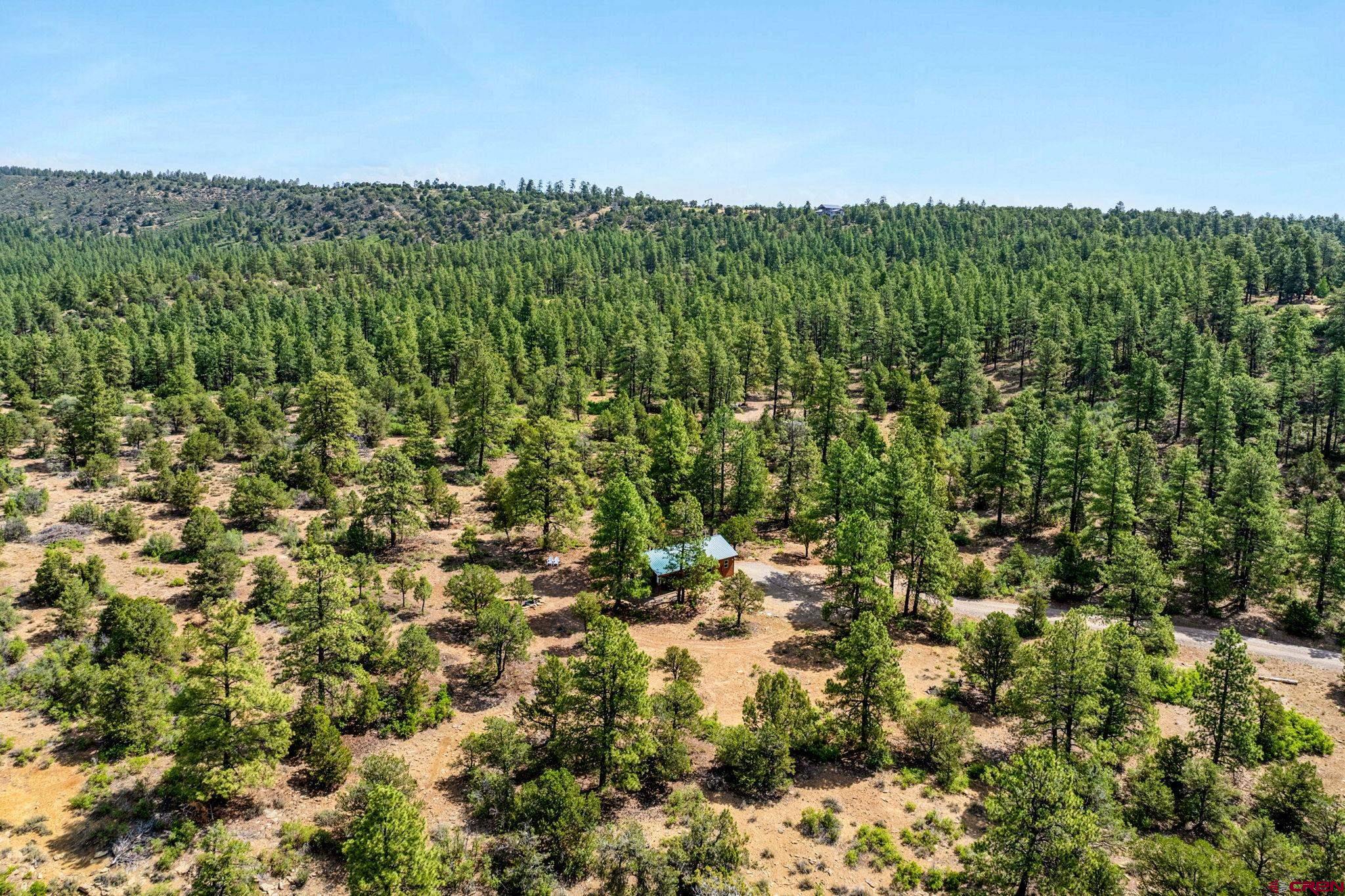1788 Foxfire Road Bayfield, CO 81122 - Photo 24 of 34 a view of a green field