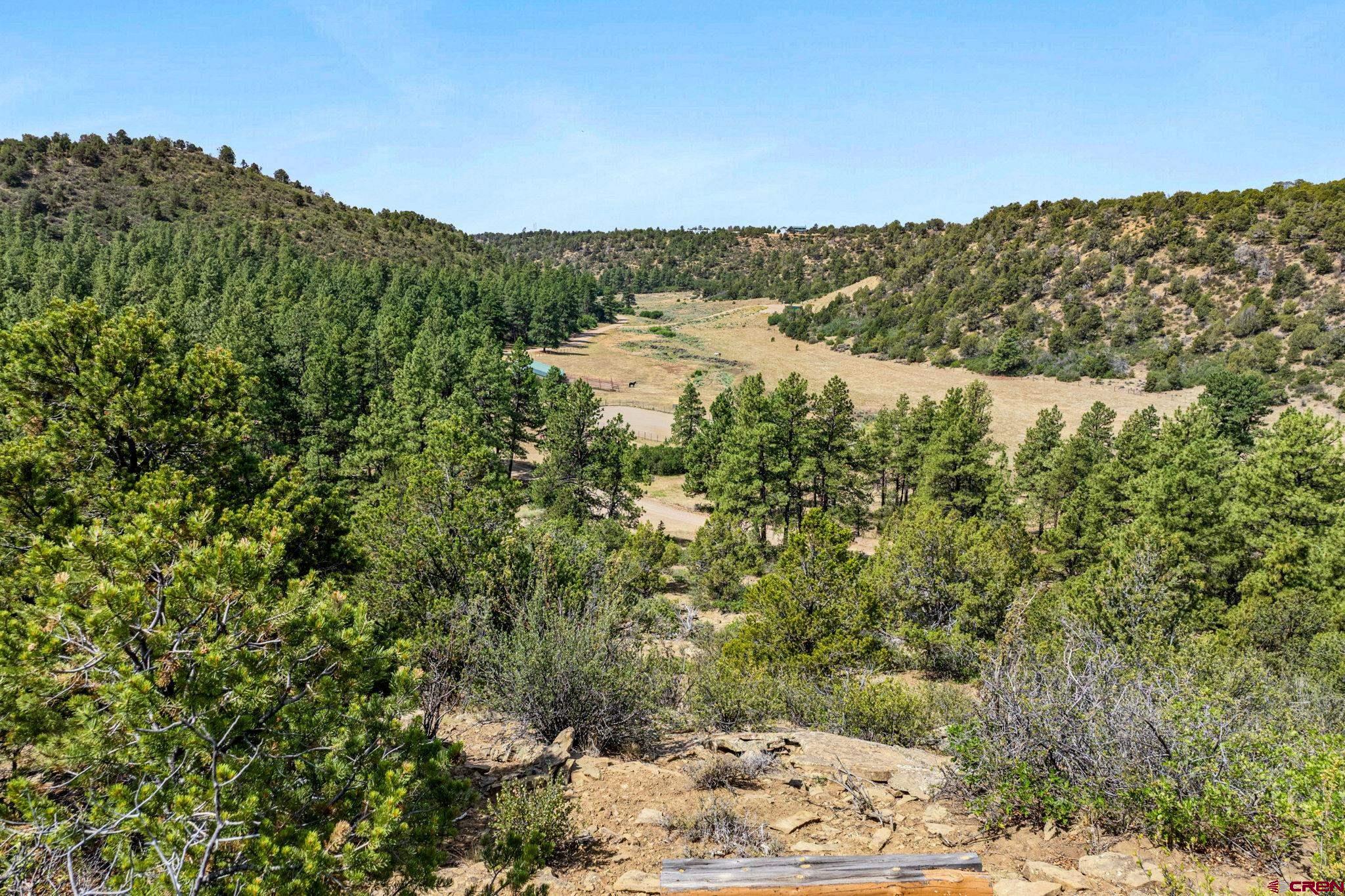 1788 Foxfire Road Bayfield, CO 81122 - Photo 26 of 34 a view of mountain view and mountain view