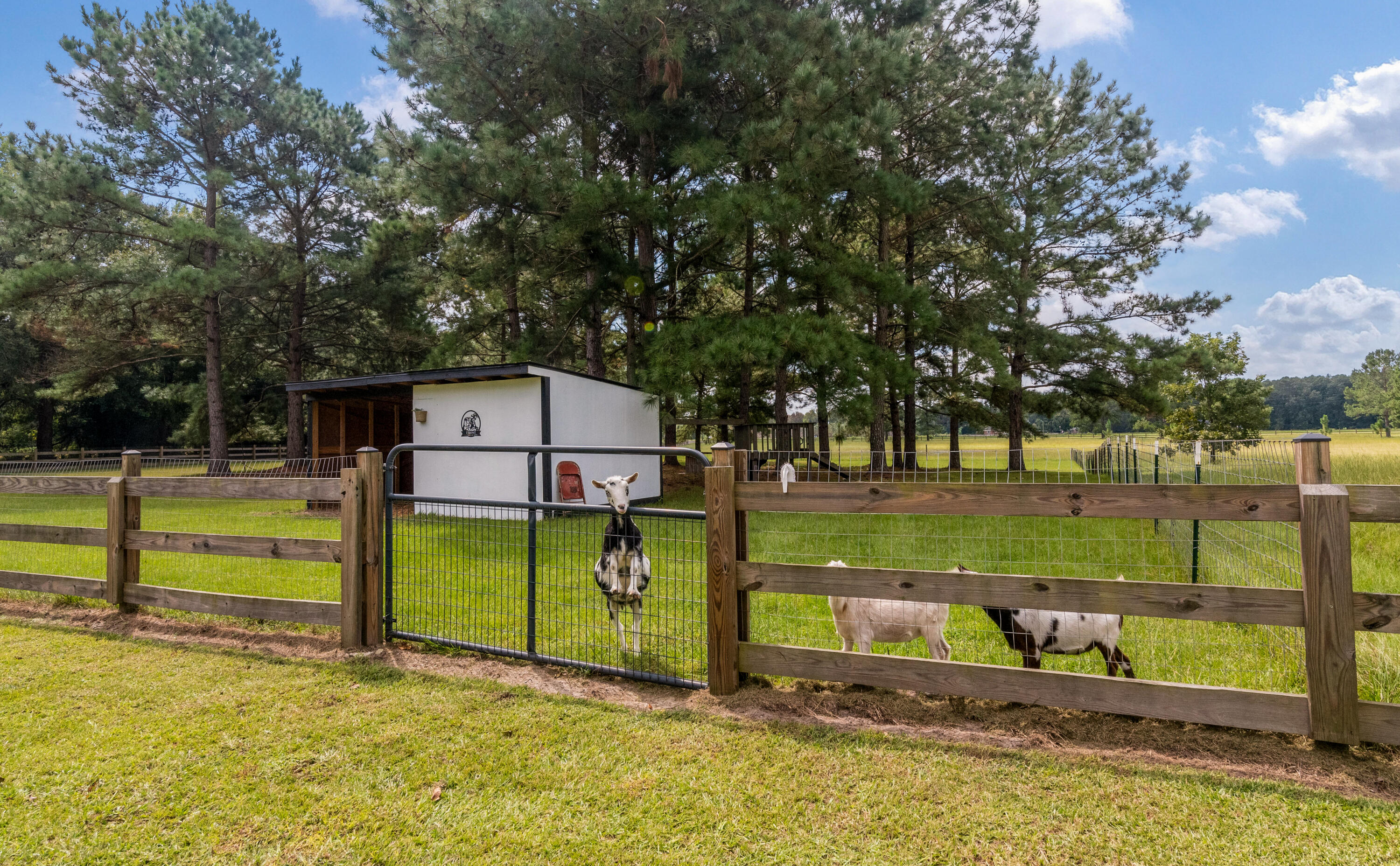307 Winding Brook Drive Cameron, SC 29030 - Photo 48 of 76 86-307 Winding Brook_Lowcountry_Exposure