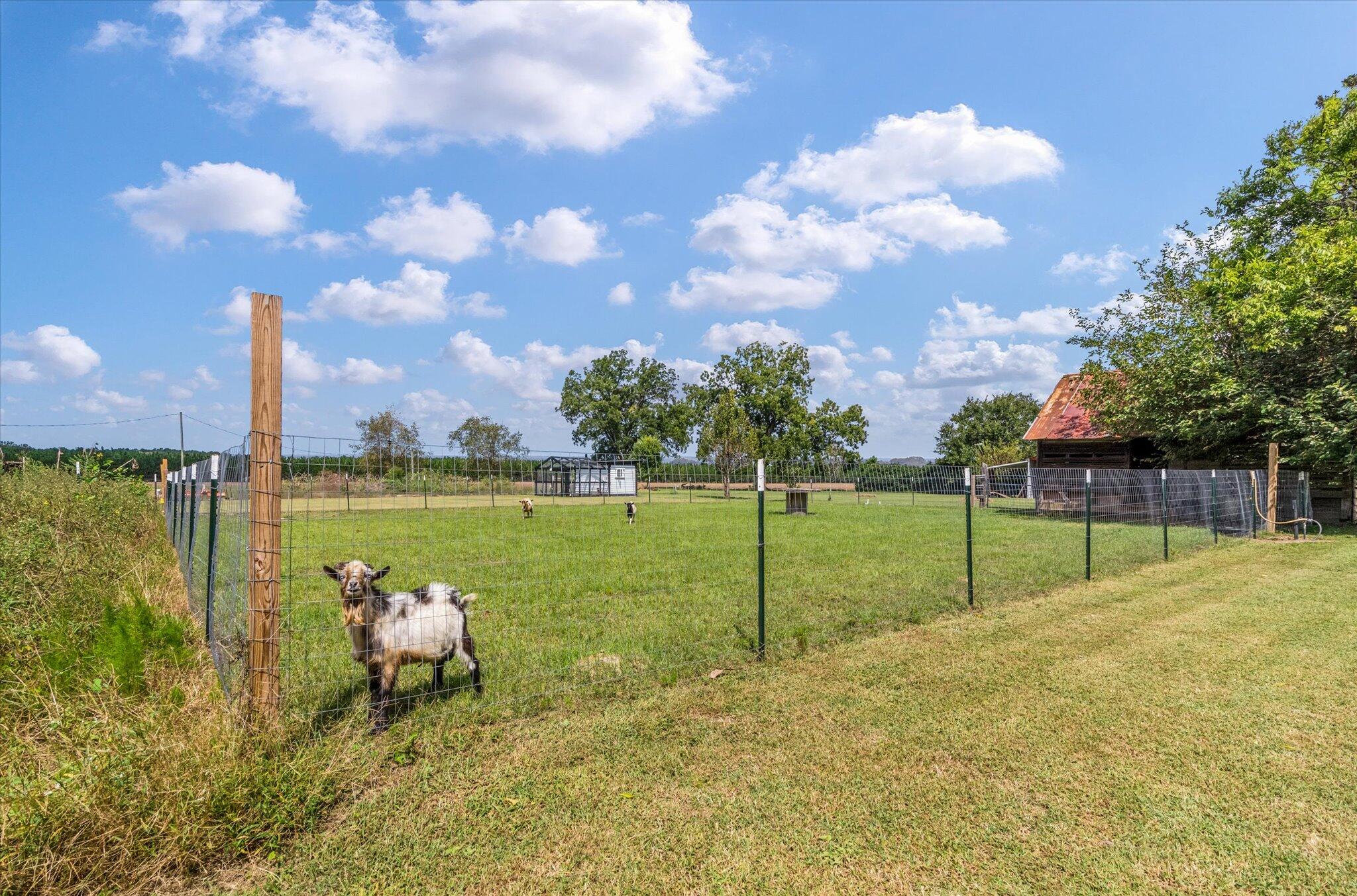 307 Winding Brook Drive Cameron, SC 29030 - Photo 70 of 76 83-307 Winding Brook_Lowcountry_Exposure