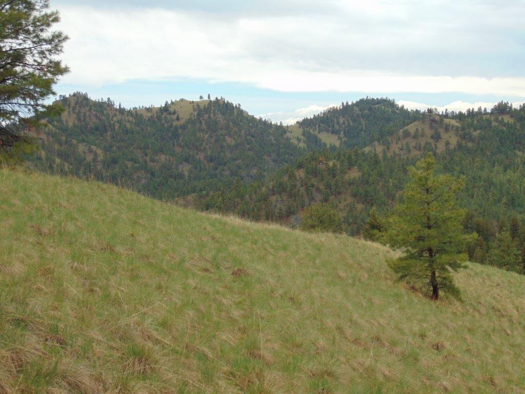 Tbd Shady Spring Lane Cascade, MT 59421 - Photo 21 of 78 Gallery Image 21