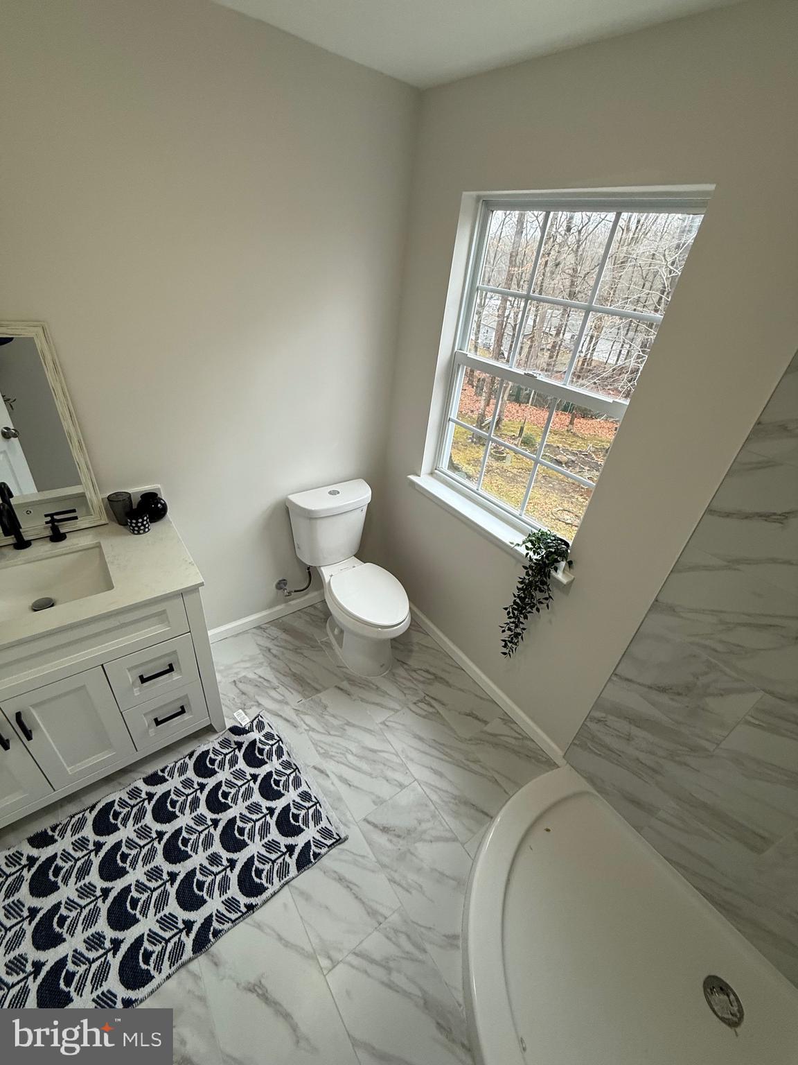 247 Becks Woods Drive Bear, DE 19701 - Photo 30 of 58 a bathroom with a sink toilet and window