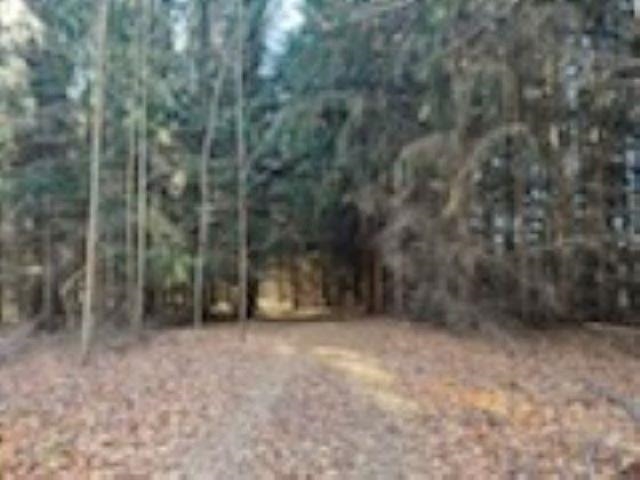 0 Runway Road Frankfort, MI 49635 - Photo 1 of 6