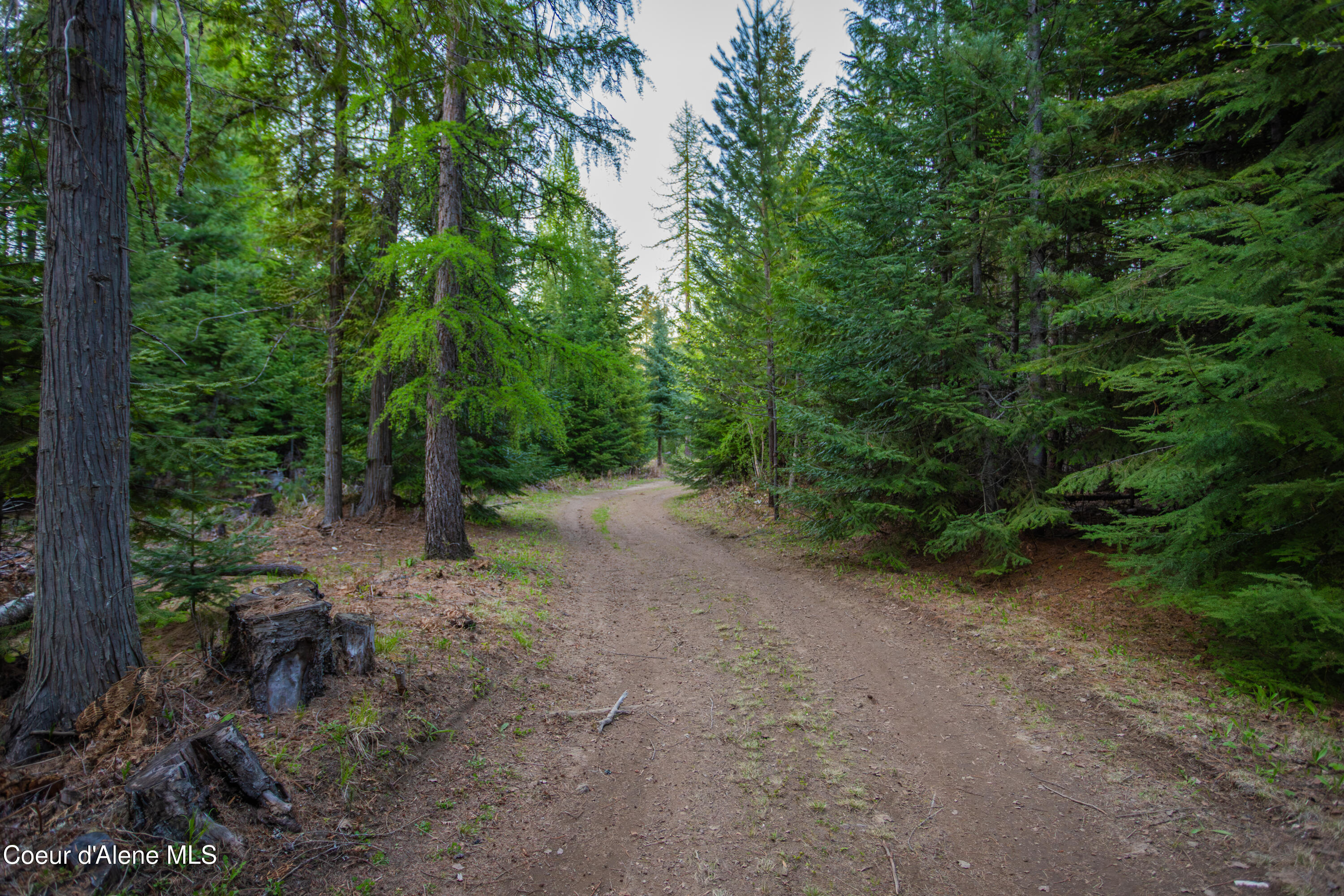 1894 Bowen Arrow Road Sandpoint, ID 83864 - Photo 25 of 68 1894 Bowen Arrow25