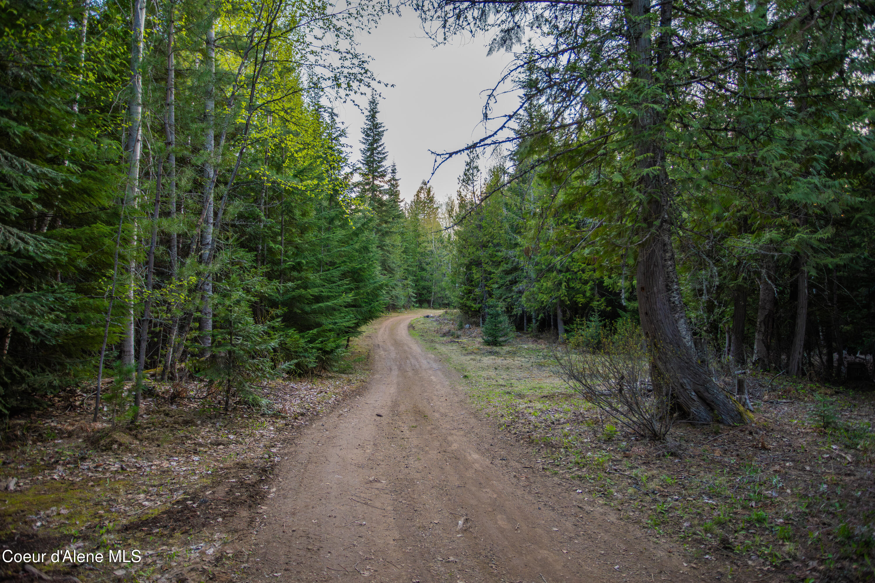1894 Bowen Arrow Road Sandpoint, ID 83864 - Photo 26 of 68 1894 Bowen Arrow26