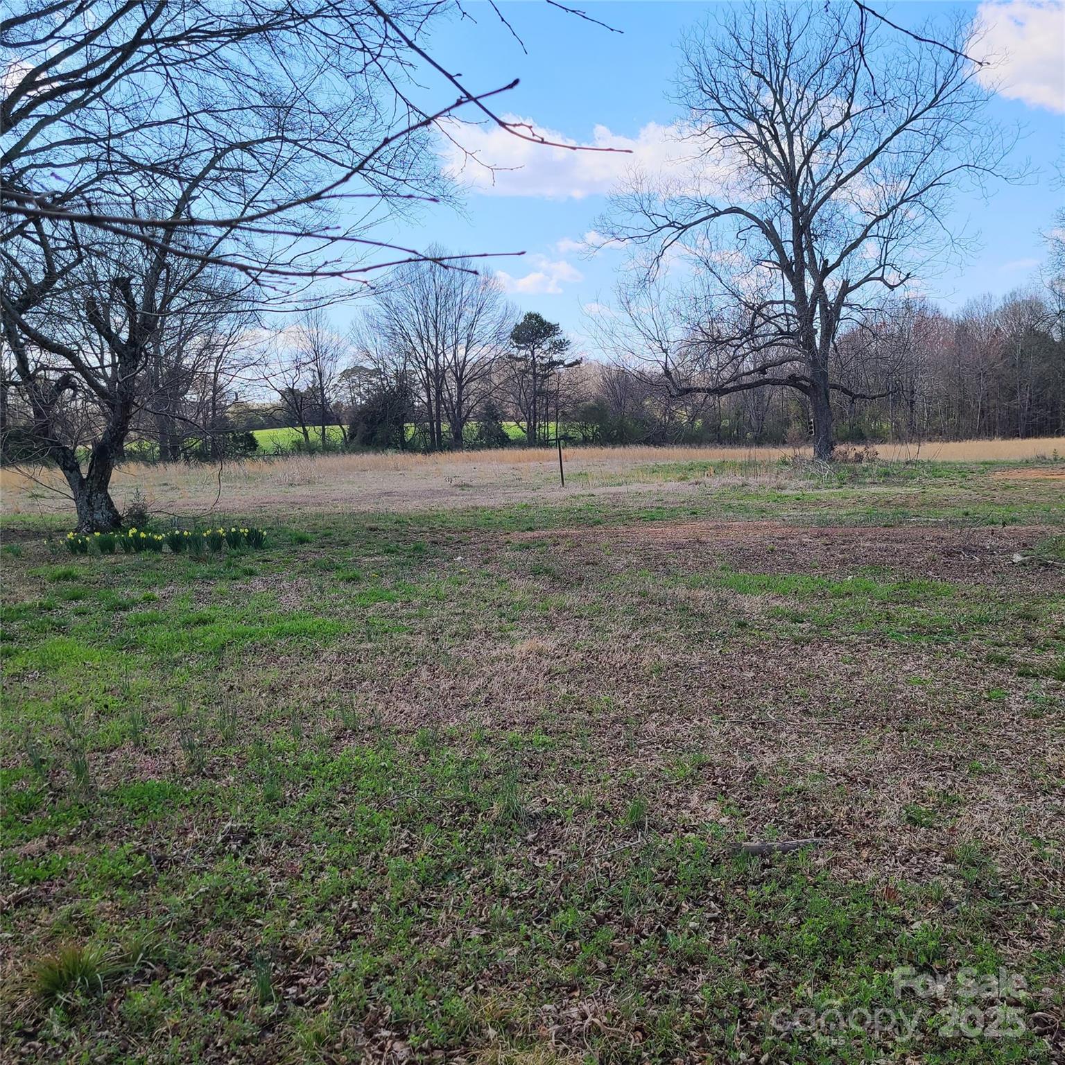 2453 Secrest Short Cut Road Monroe, NC 28110 - Photo 4 of 4 Gallery Image 4