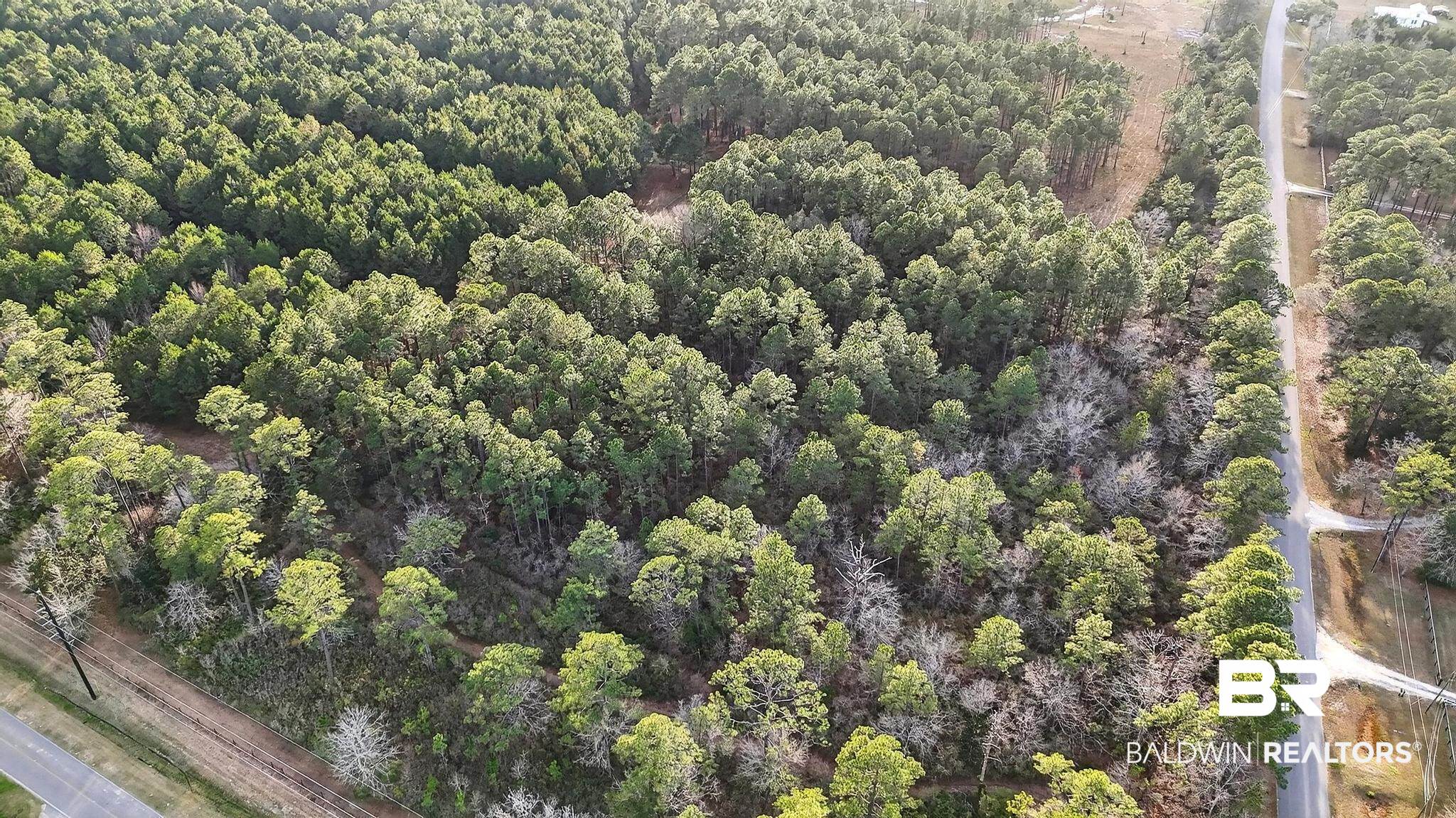 0 Hemley Road Bayou La Batre, AL 36509 - Photo 28 of 28