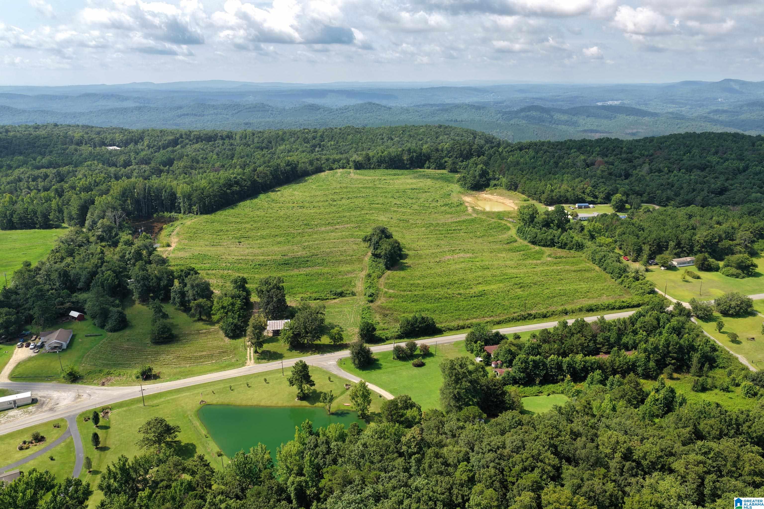 0 County Highway 27, Unit 47 Springville, AL 35146 - Photo 4 of 53