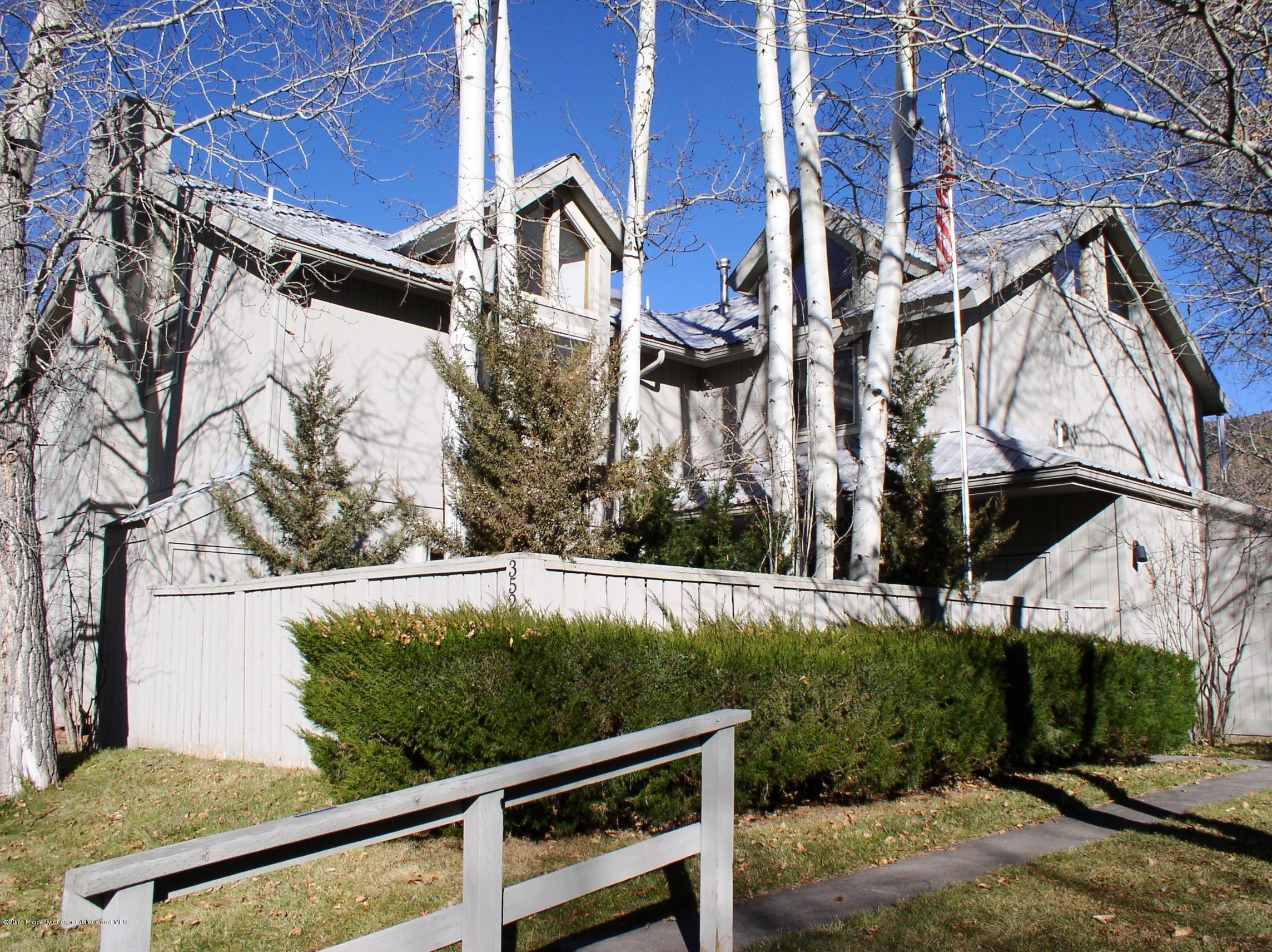 352 Wren Court Basalt, CO 81621 - Photo 1 of 20 P1010006