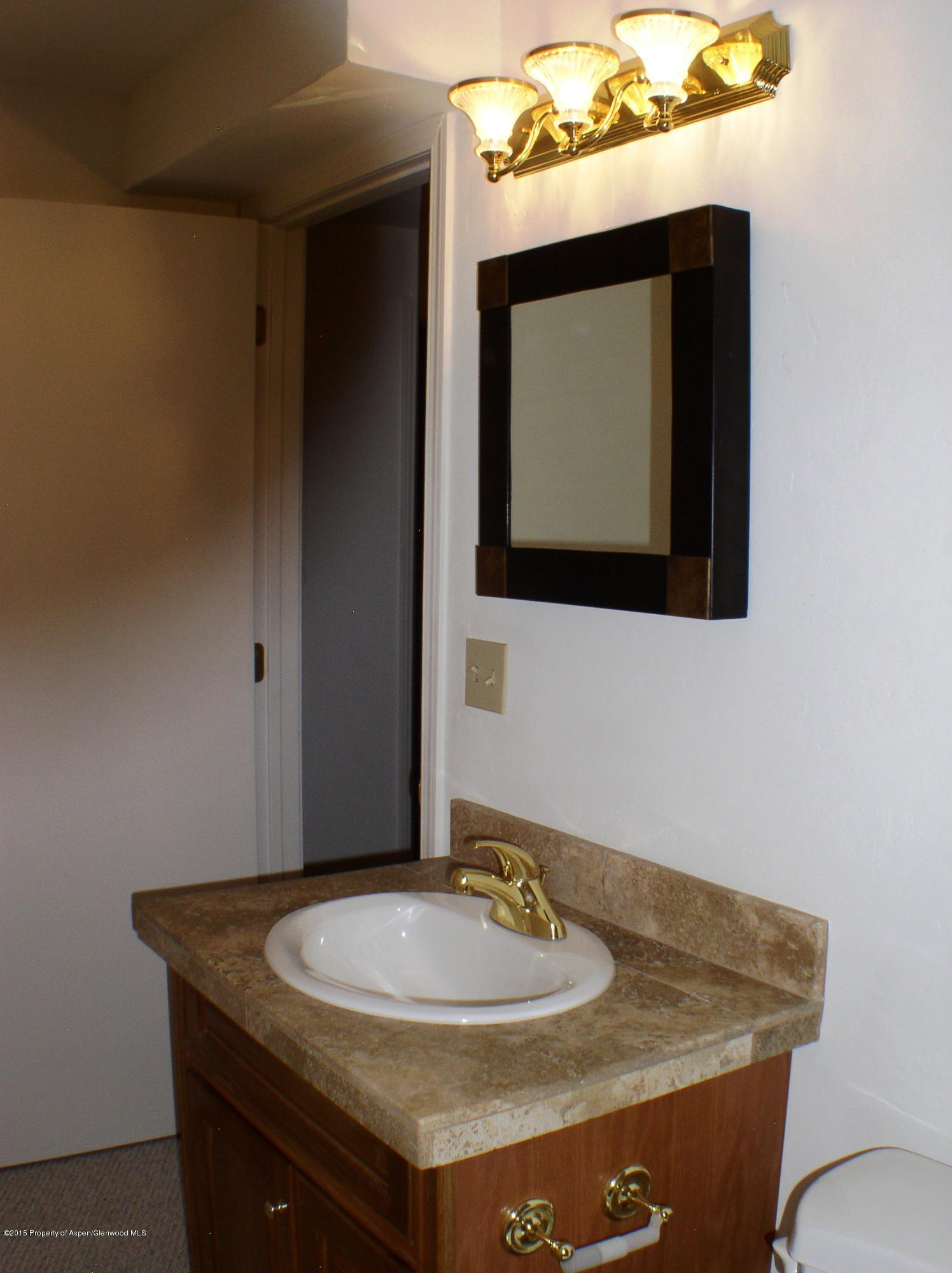 352 Wren Court Basalt, CO 81621 - Photo 18 of 20 P1010035