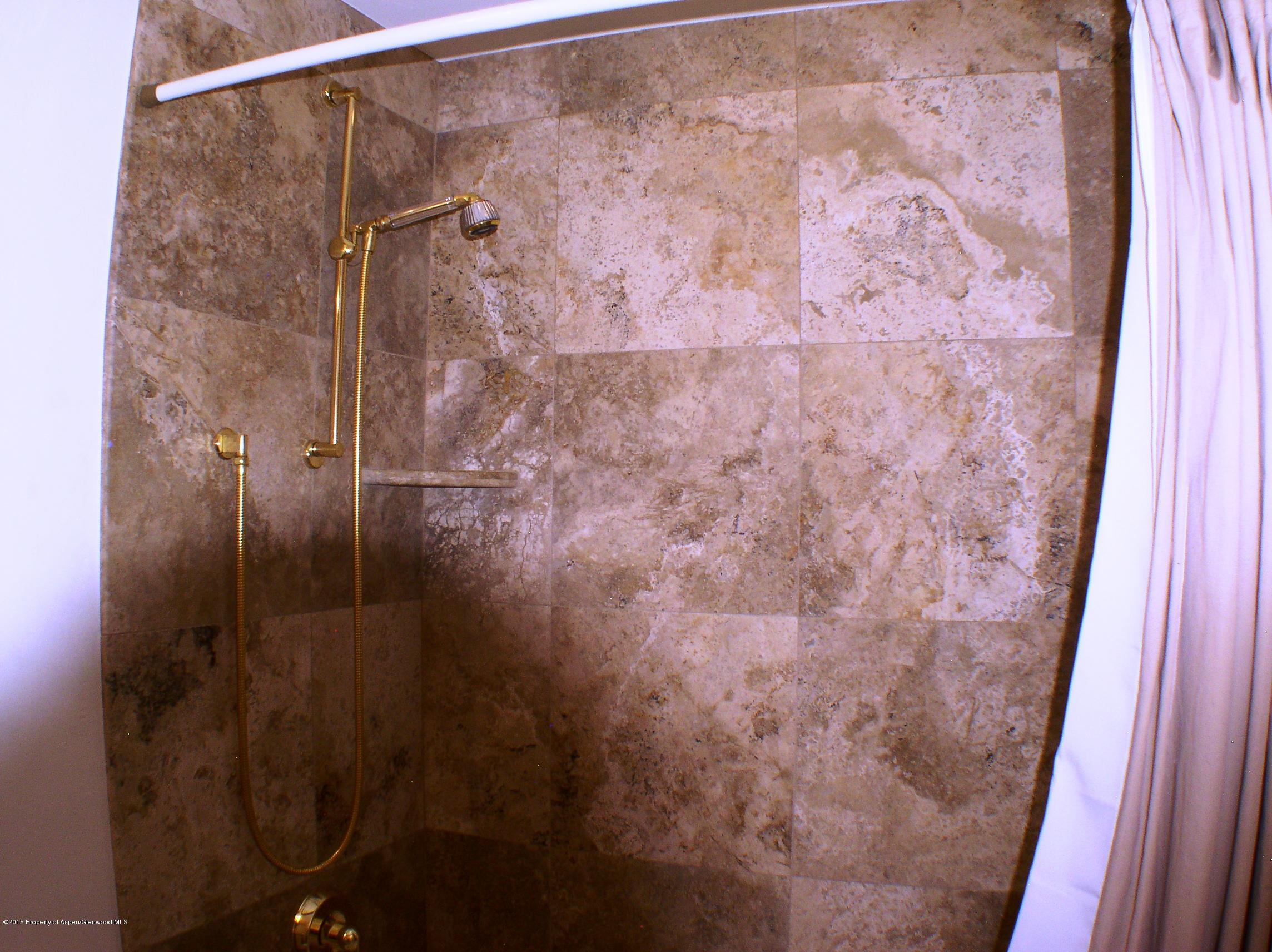 352 Wren Court Basalt, CO 81621 - Photo 19 of 20 P1010034