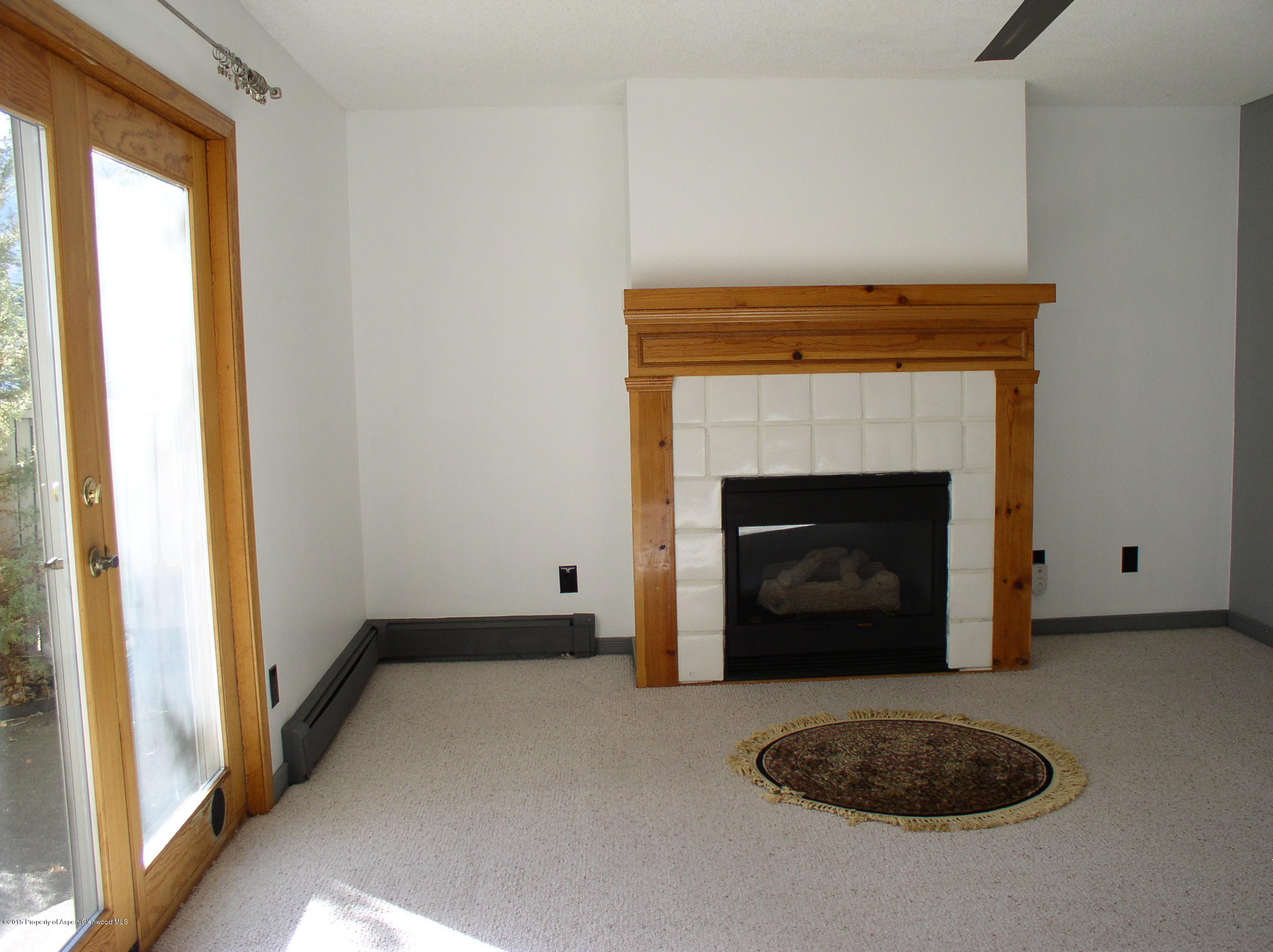 352 Wren Court Basalt, CO 81621 - Photo 4 of 20 P1010009