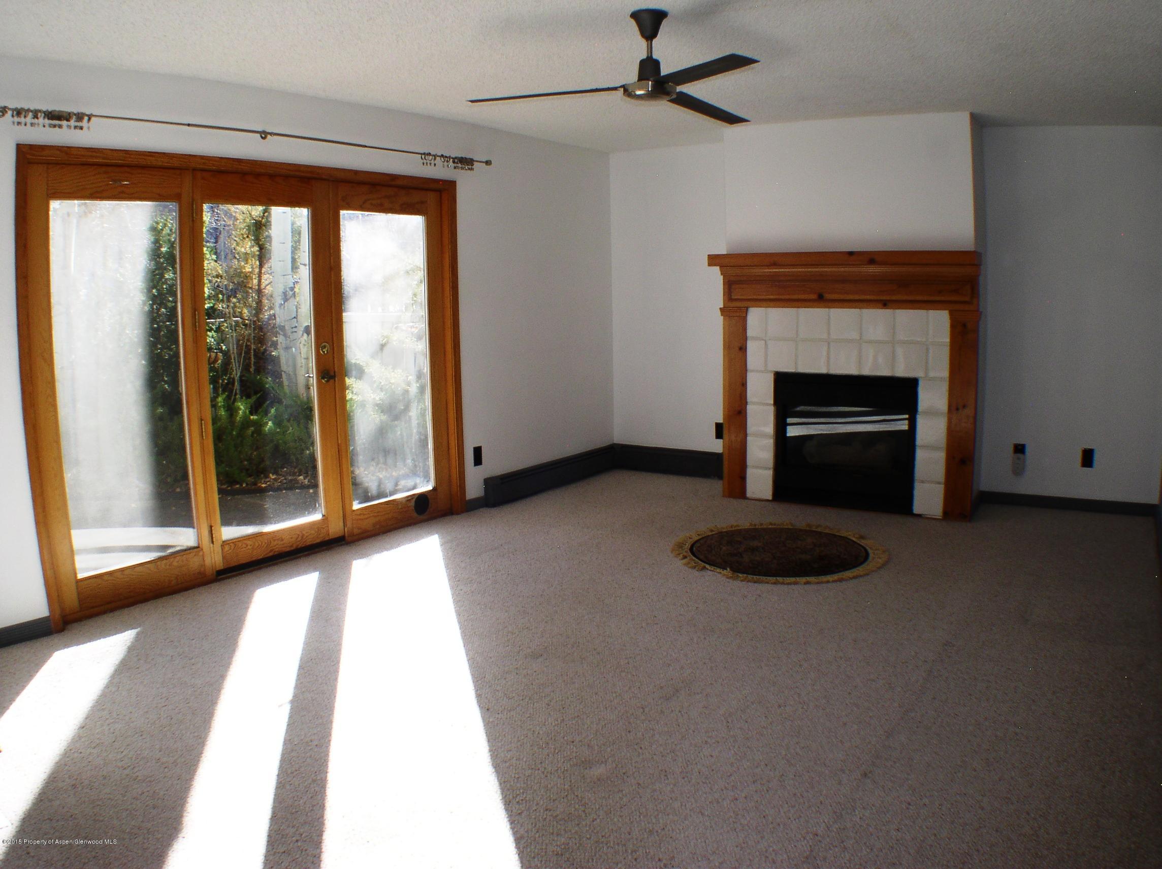 352 Wren Court Basalt, CO 81621 - Photo 5 of 20 P1010022