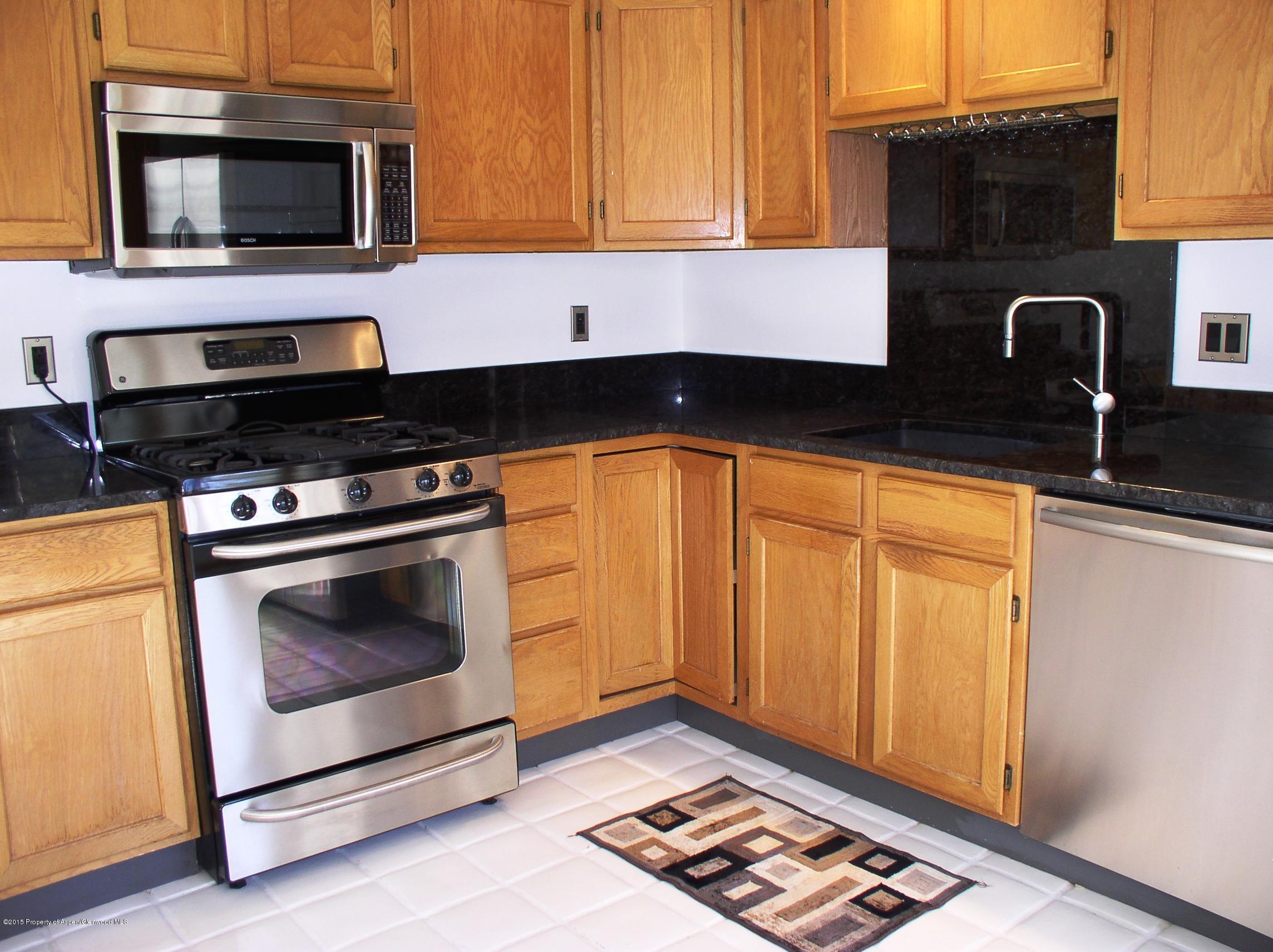 352 Wren Court Basalt, CO 81621 - Photo 8 of 20 P1010013