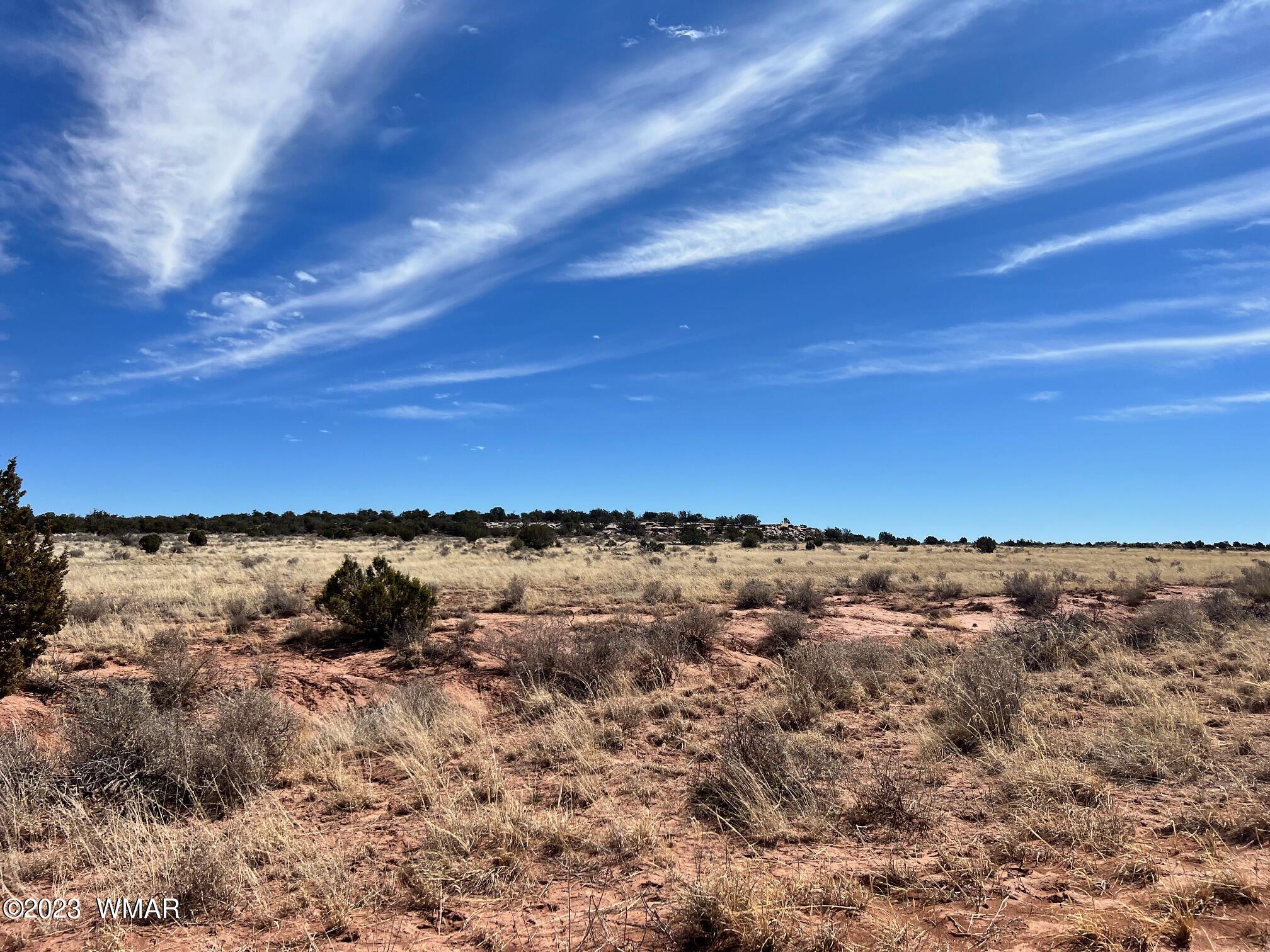 3695 Jordan Road Snowflake, AZ 85937 - Photo 8 of 10