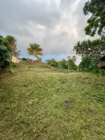 a view of a field with a tree in it