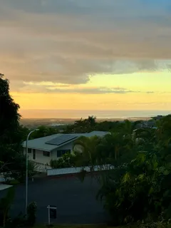 a view of a yard with large trees