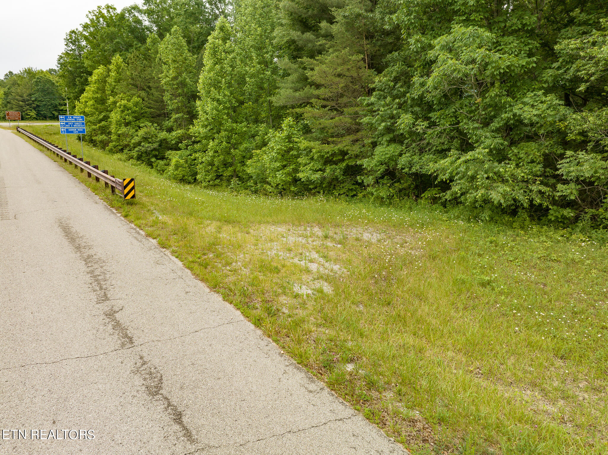 0 Brewstertown Road Robbins, TN 37852 - Photo 20 of 23 untitled-19