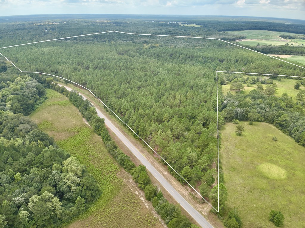 202-acres Columbus Holley Road Samson, AL 36477 - Photo 3 of 50