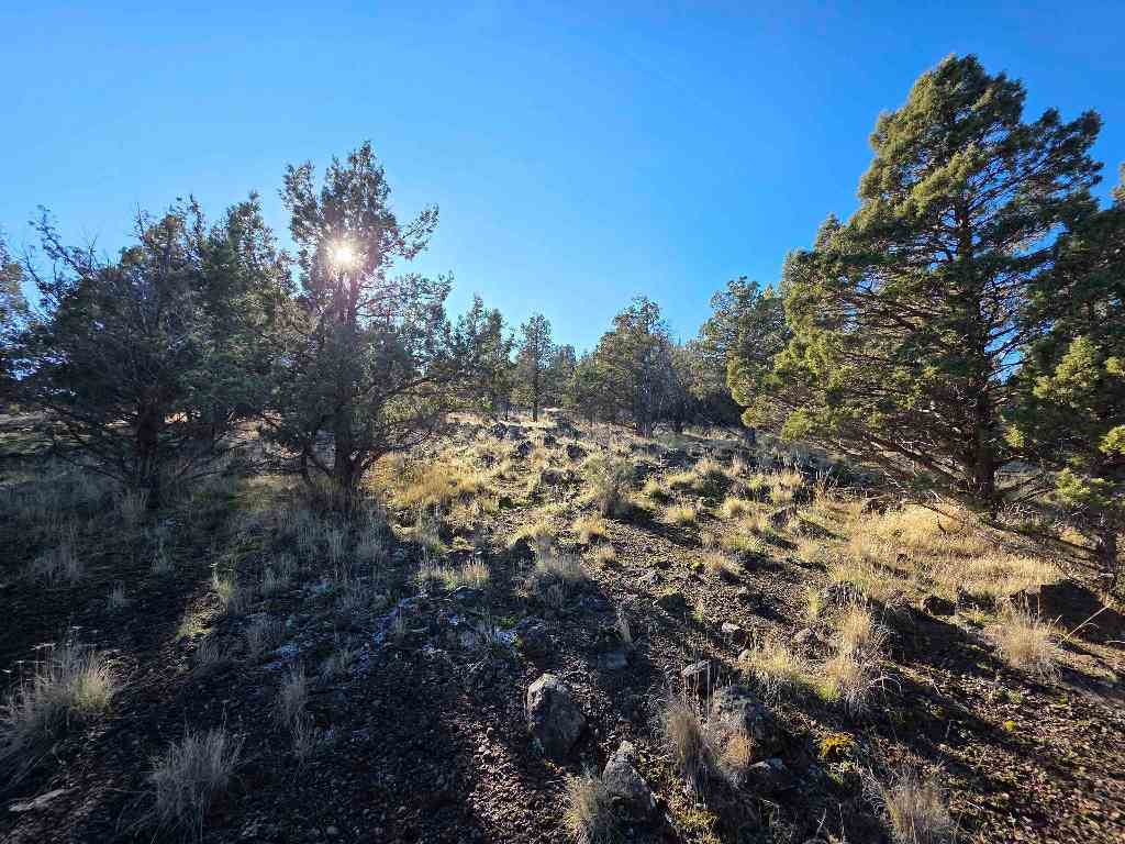 Lot 254 Quail Ridge Street Weed, CA 96094 - Photo 3 of 21 Gallery Image 3
