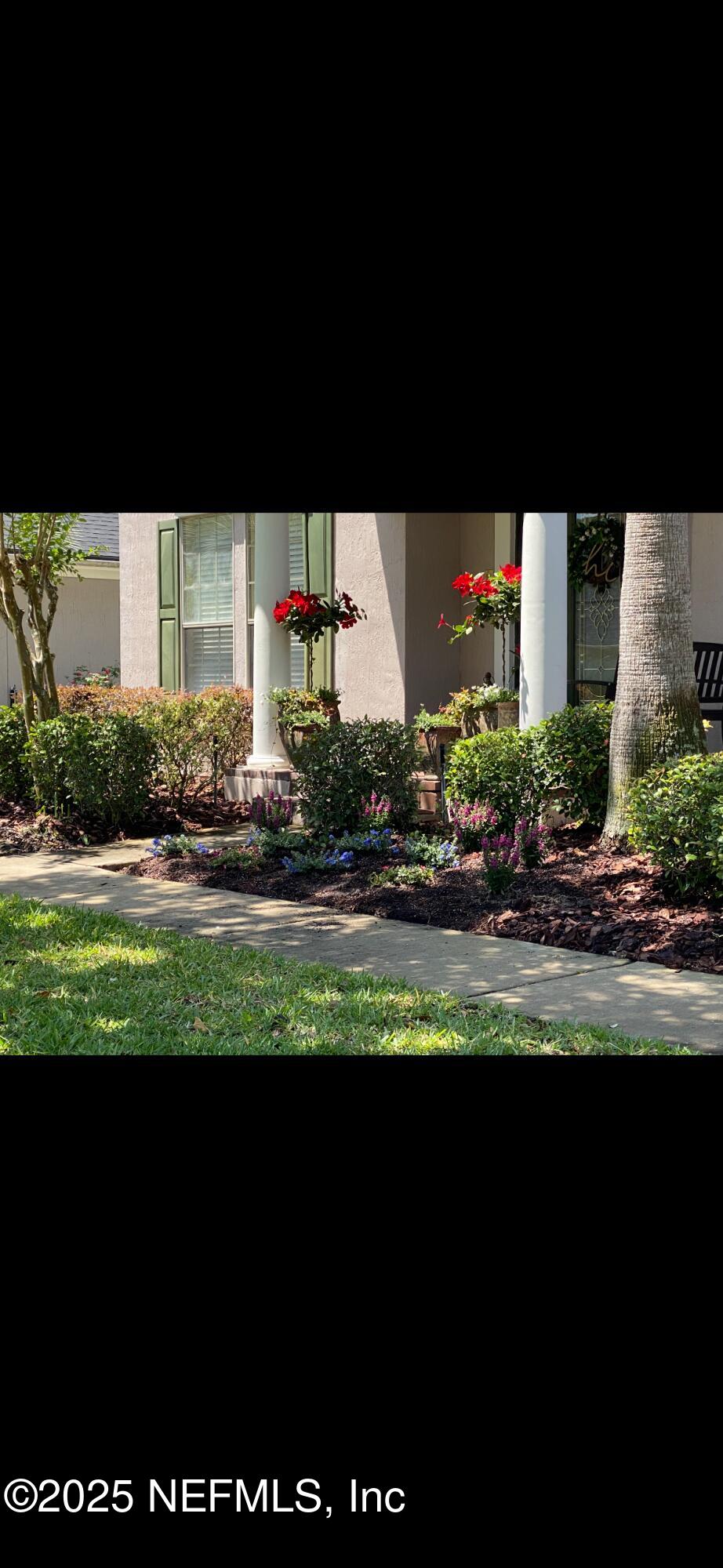 1741 Highland View Drive St. Augustine, FL 32092 - Photo 4 of 46 Front yard