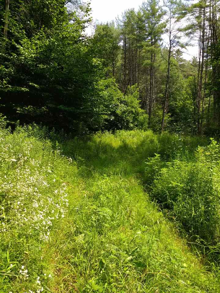 187 Williams Road Rockingham, VT 05143 - Photo 6 of 10