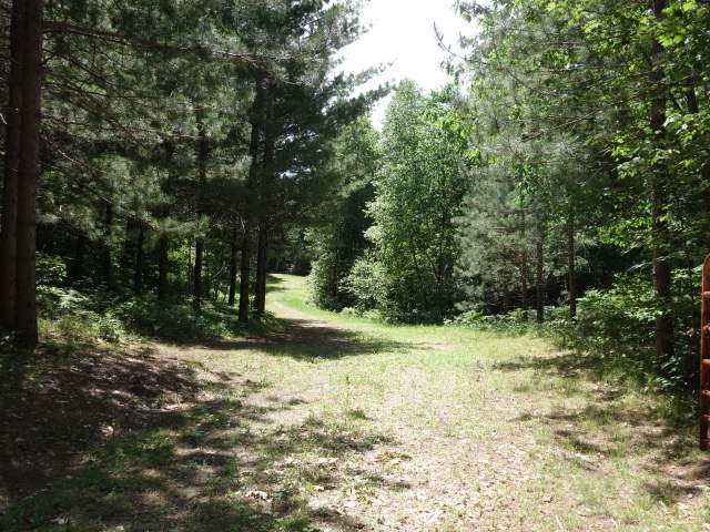 Lot 1 Mud Lake Road Tomahawk, WI 54487 - Photo 3 of 8 Gallery Image 3