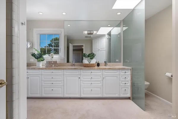 a view of a garden with plants and a fountain