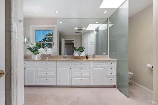 a view of a garden with plants and a fountain