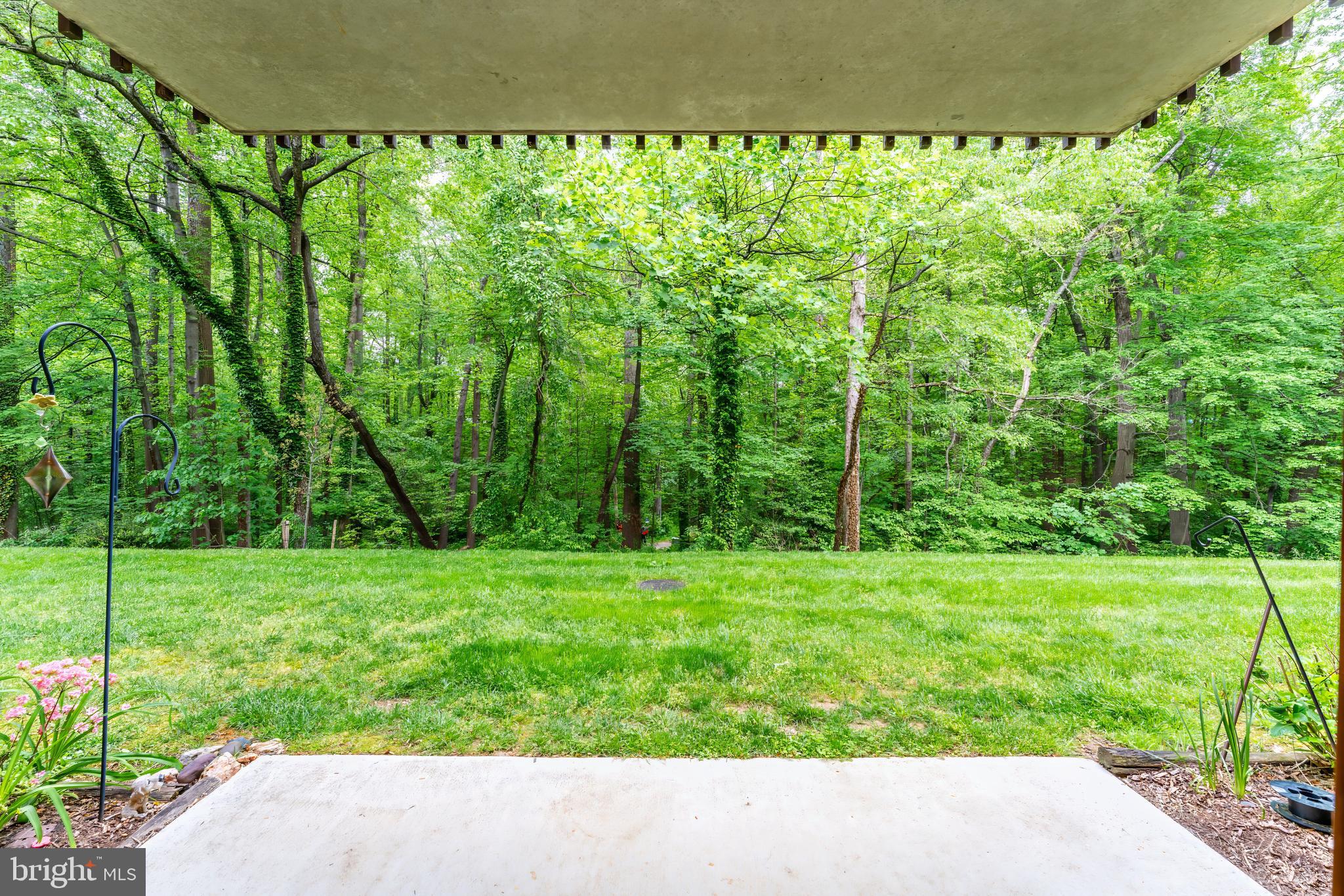 11619 Vantage Hill Road, Unit 2A Reston, VA 20190 - Photo 14 of 25 Very private