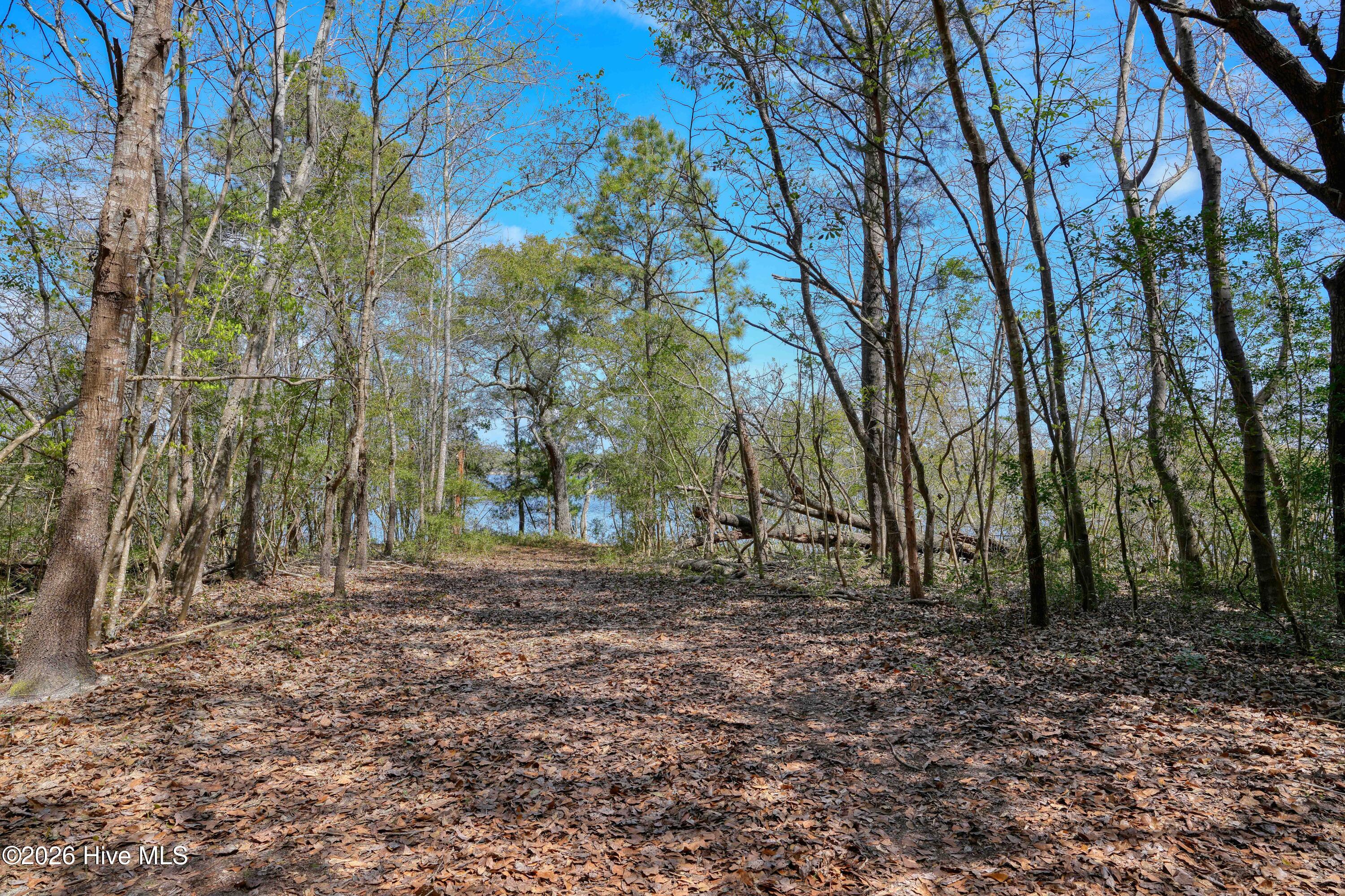 0 Odum Drive Hubert, NC 28539 - Photo 24 of 35 Odum Lot - photos - Edited_1