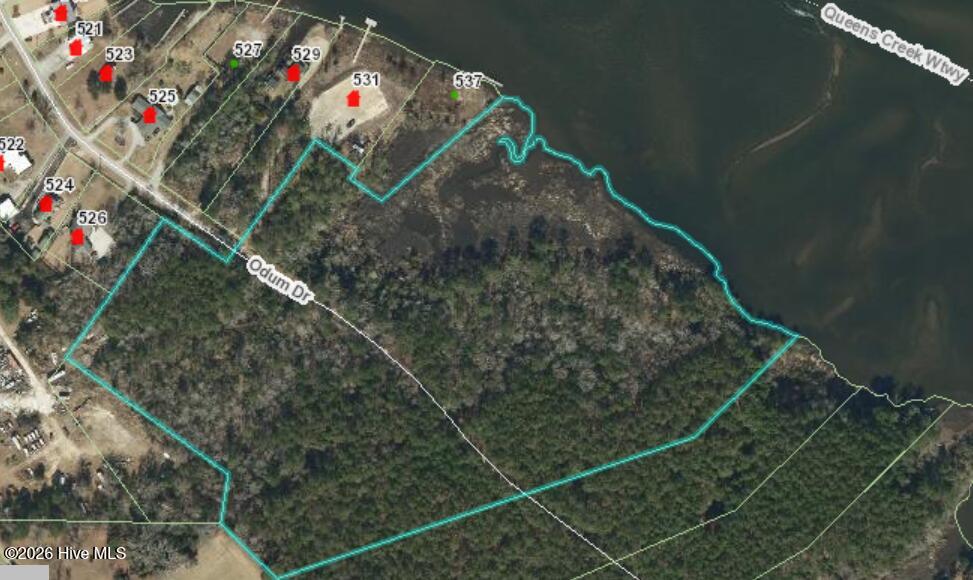 0 Odum Drive Hubert, NC 28539 - Photo 3 of 35 0 Odum GIS