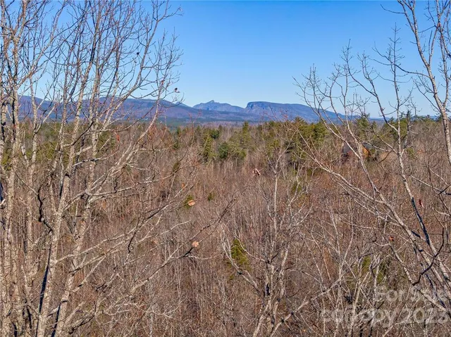 a view of a dry yard with trees
