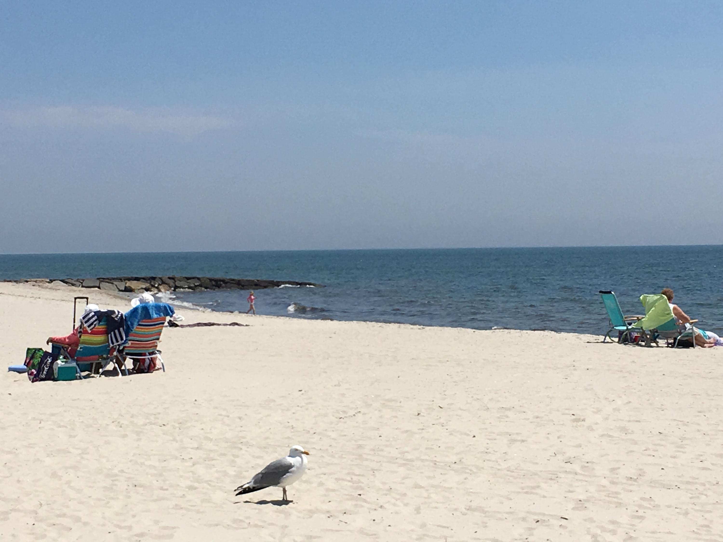 146 Uncle Venies Road Harwich, MA 02645 - Photo 13 of 14 Red River Beach