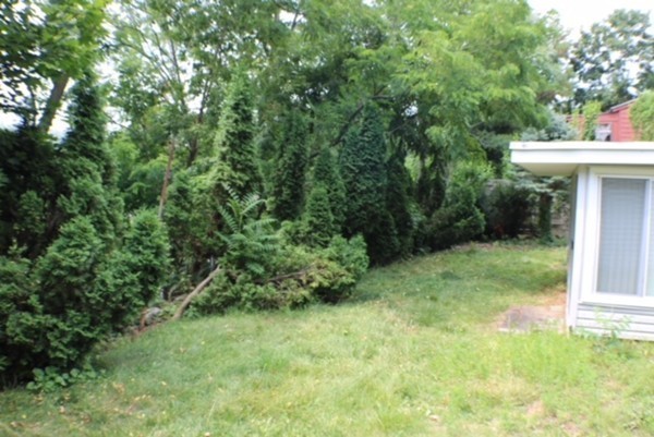 34 Margo Road Boston, MA 02135 - Photo 4 of 19 Gallery Image 4