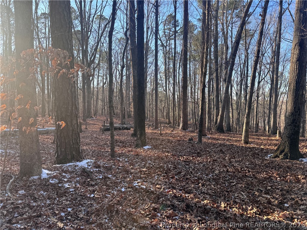 a view of a backyard with trees