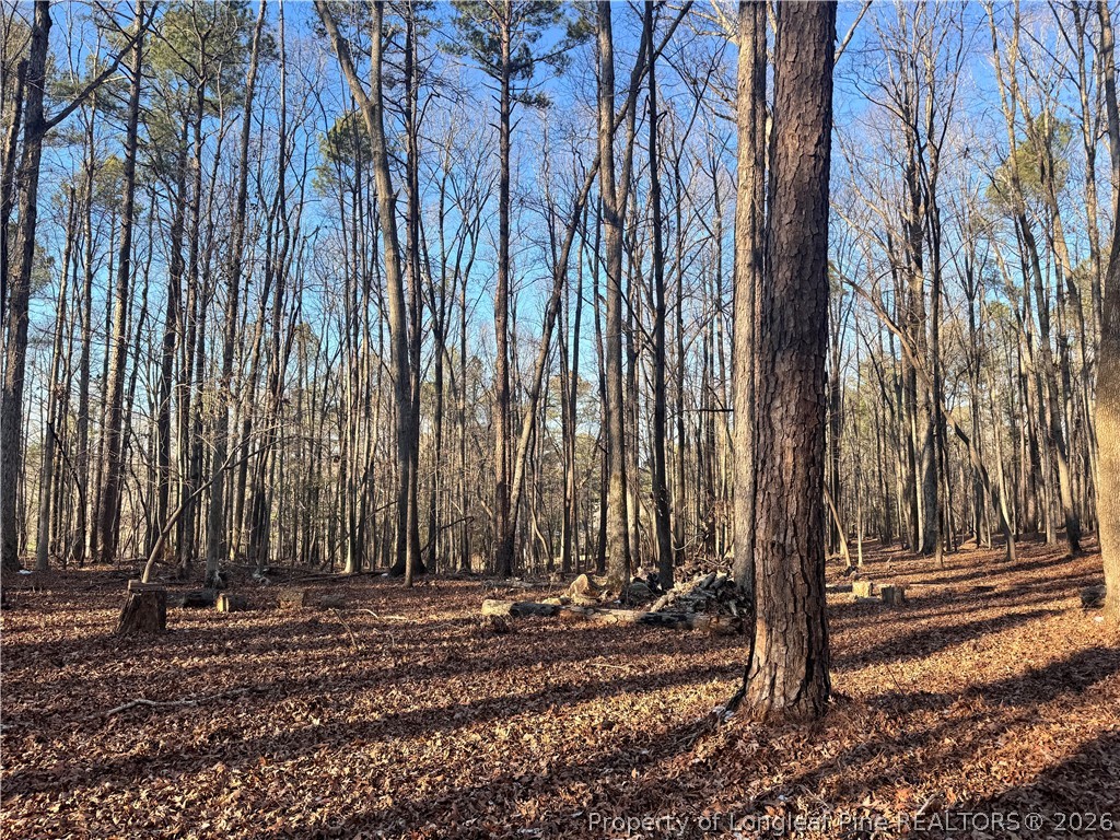 Oldham Lake Road Sanford, NC 27330 - Photo 11 of 15 a view of a backyard