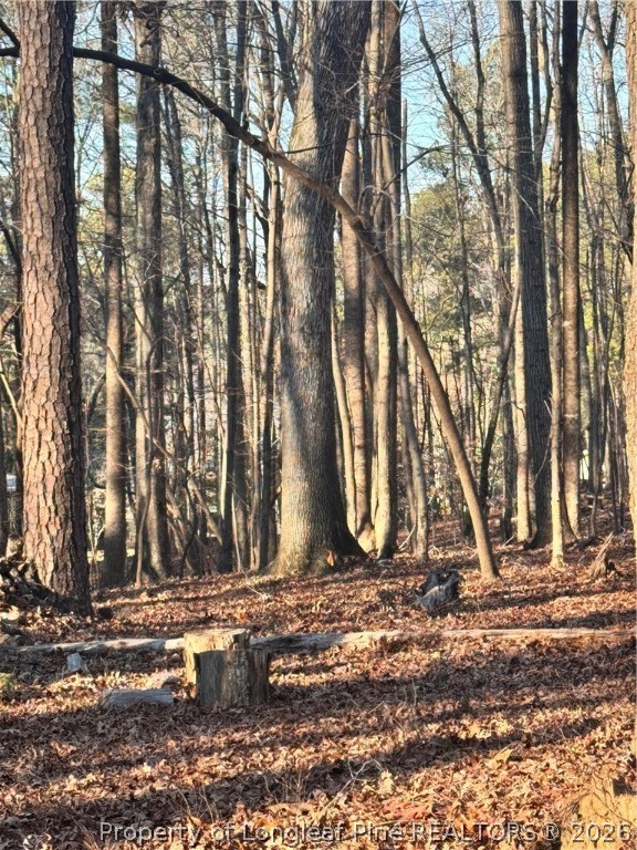 Oldham Lake Road Sanford, NC 27330 - Photo 12 of 15 a view of outdoor space with city view