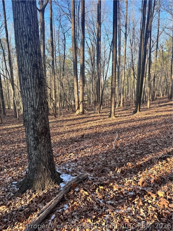 Oldham Lake Road Sanford, NC 27330 - Photo 13 of 15 a view of a yard with trees