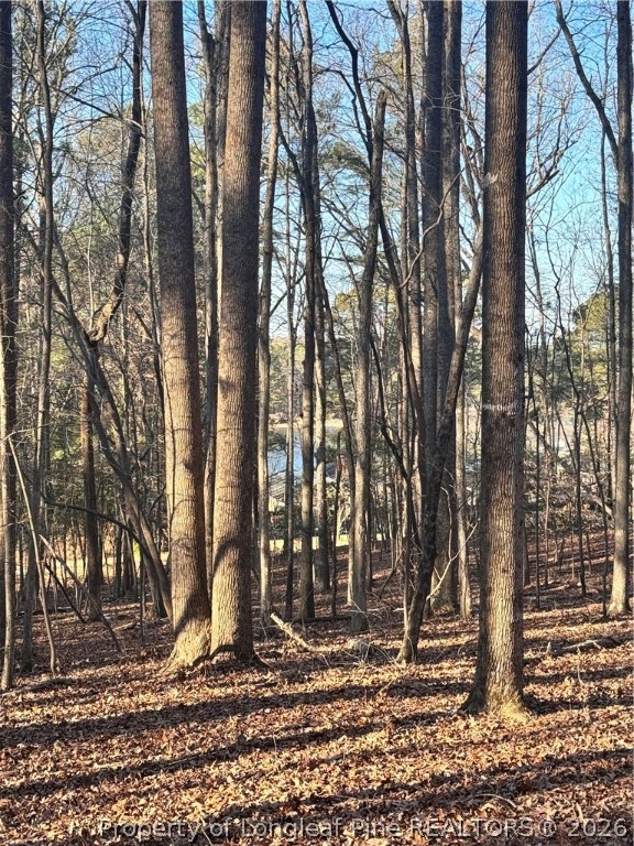 Oldham Lake Road Sanford, NC 27330 - Photo 14 of 15 a view of a barn in the middle of a yard