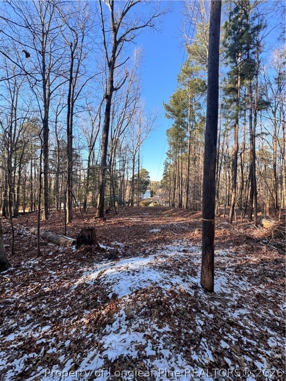 Oldham Lake Road Sanford, NC 27330 - Photo 15 of 15 a backyard of a house with lots of green space
