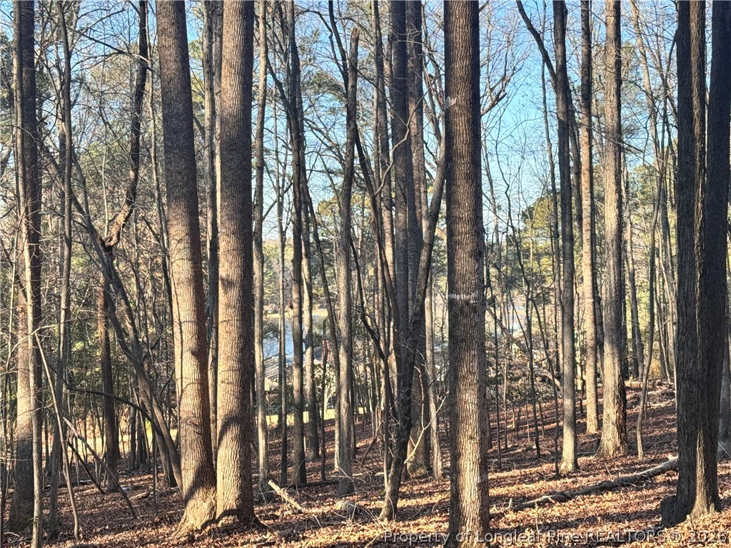 Oldham Lake Road Sanford, NC 27330 - Photo 2 of 15 a view of a city with tall trees
