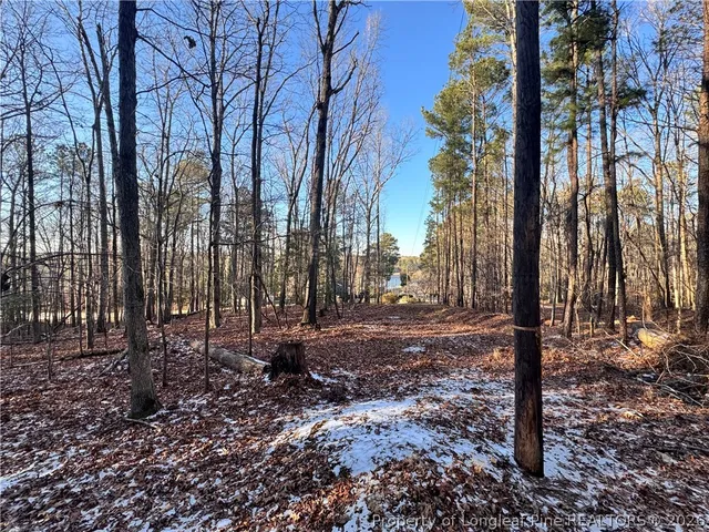 a view of a yard with trees