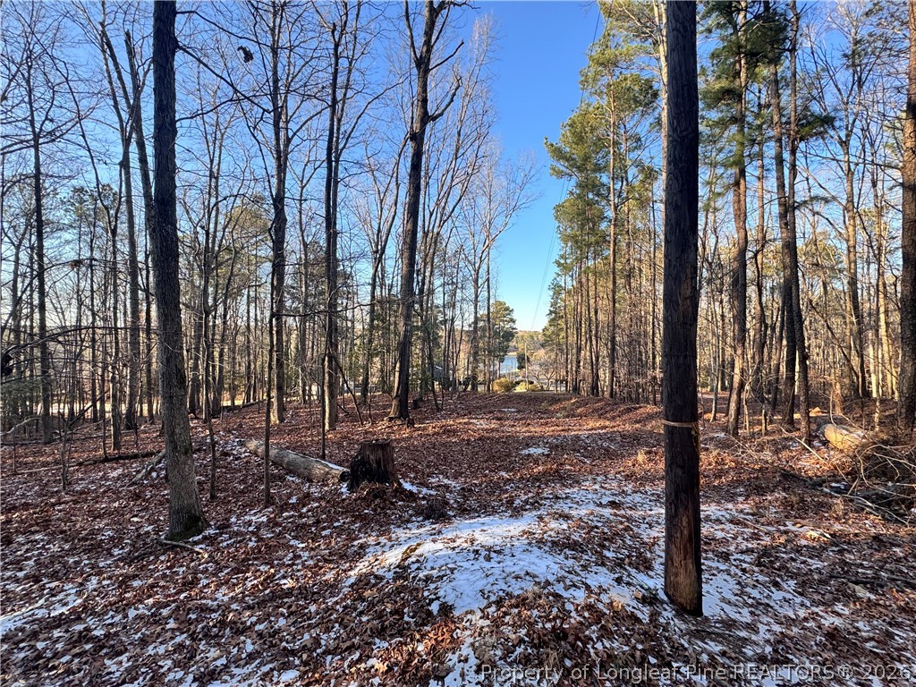 Oldham Lake Road Sanford, NC 27330 - Photo 3 of 15 a view of a yard with trees