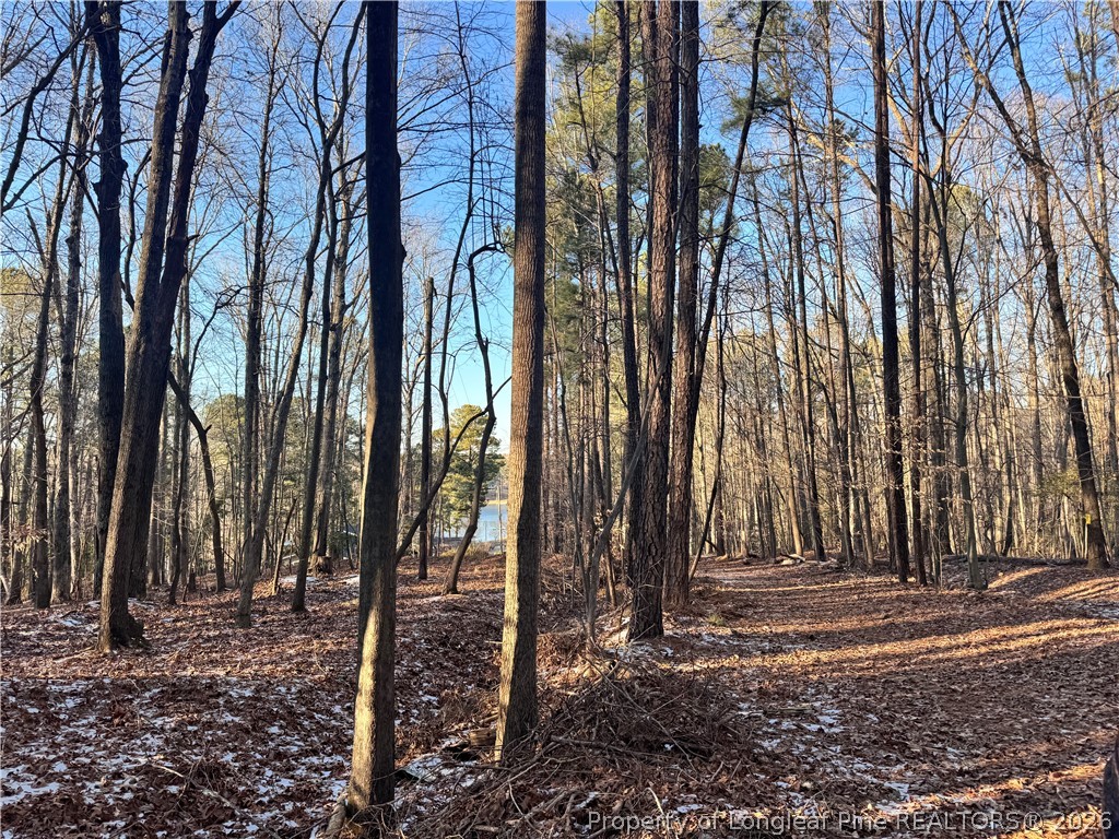 Oldham Lake Road Sanford, NC 27330 - Photo 4 of 15 a view of a backyard with large trees