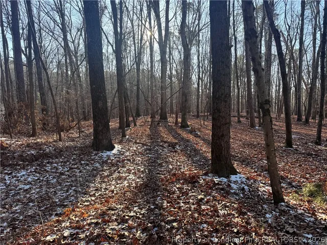 a view of outdoor space with lots of trees