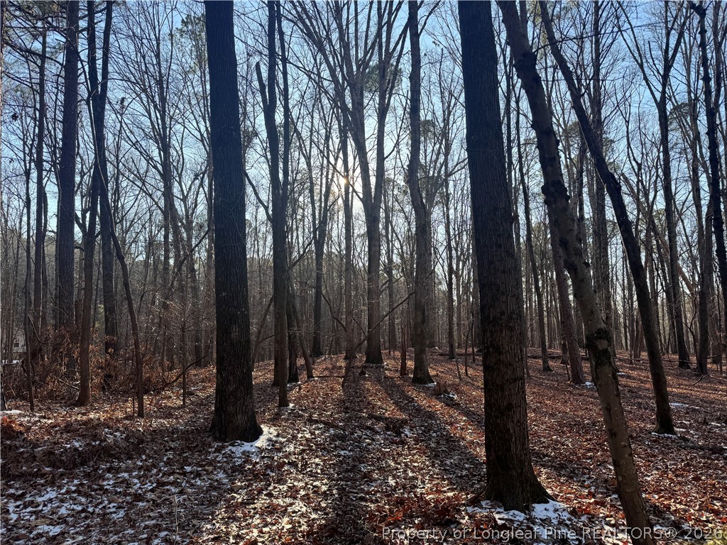 Oldham Lake Road Sanford, NC 27330 - Photo 6 of 15 a view of backyard with green space
